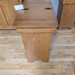 Lift Top Trash Bin